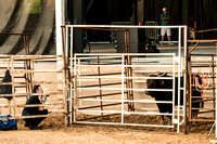 Bull shots Joan Sebastian  8-9-14_PLC_3039