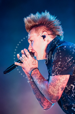 PAPA ROACH 8-24-19_LUC_0300