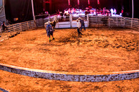 Bull shots Joan Sebastian  8-9-14_PLC_3108